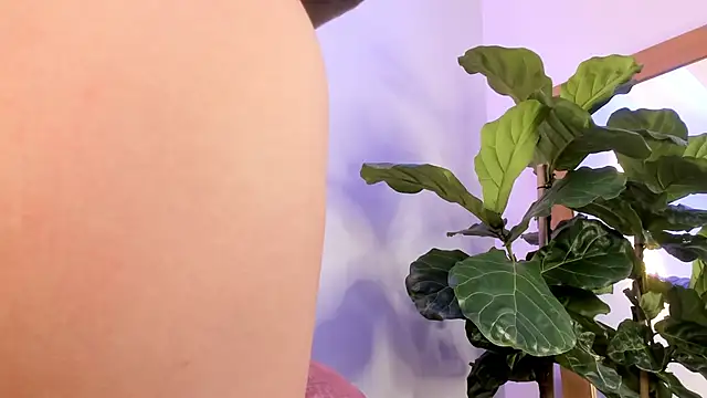 nicolle pierce online show from 12/22/25, 01:44