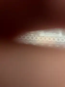 poision51 online show from 04/11/26, 06:32