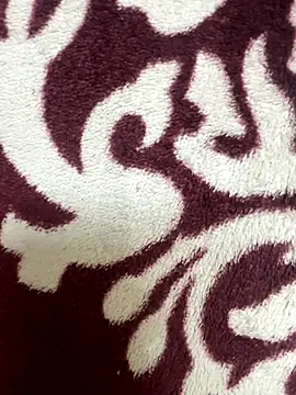 poision51 online show from 11/17/25, 04:38