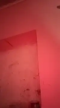 sosarax online show from 01/30/25, 11:22