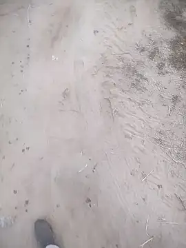 ajaysinghsss online show from 11/10/25, 01:32