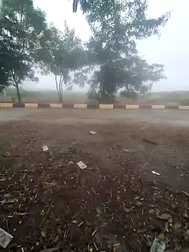 blackcobra94 online show from 12/14/24, 08:13