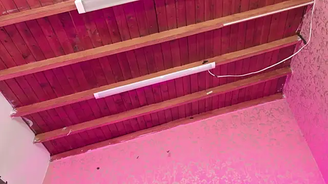 Sofia martiin online show from 11/14/25, 03:10