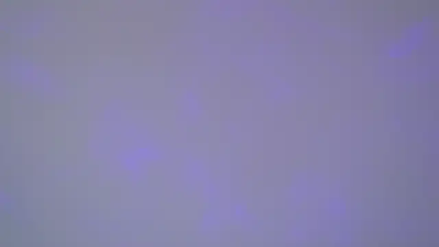 SelinSwarovski online show from 11/01/25, 05:03