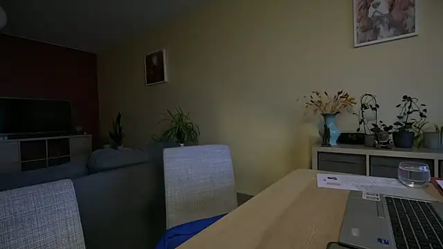 SexyExclusiveflower online show from 11/28/25, 08:03