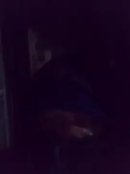 Snapshot of AquaticPlosion chatting on 03/02/26, 01:39 AquaticPlosion online show from 03/02/26, 01:39