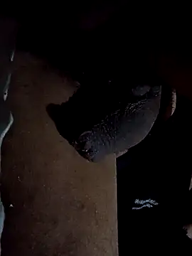 GaMeCrAc1 online show from 09/29/25, 10:33