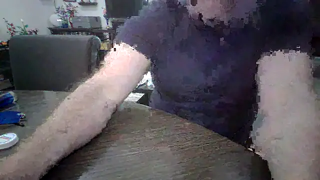 LARawAlways2 online show from 02/26/26, 07:03