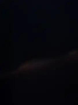 lukay69 online show from 02/07/26, 08:44