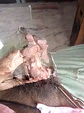 PracticalGum40 online show from 04/12/26, 09:23