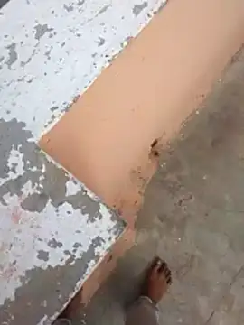 PracticalGum40 online show from 02/21/26, 03:08