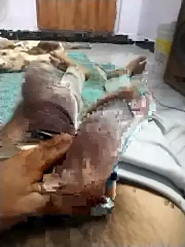 PracticalGum40 online show from 04/09/26, 06:03