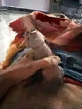 PracticalGum40 online show from 11/20/25, 05:24