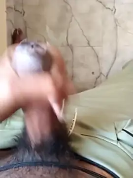 PracticalGum40 online show from 01/07/26, 03:11