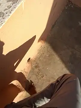 PracticalGum40 online show from 01/11/26, 03:35