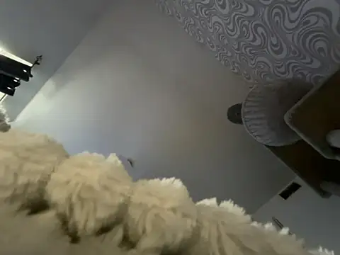 bunnyamy online show from 11/12/25, 11:03