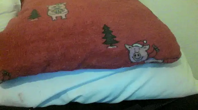 Snapshot of bunnyamy chatting on 12/05/24, 05:55 bunnyamy online show from 12/05/24, 05:55