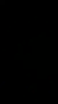 Snapshot of wikilikiliks chatting on 12/11/24, 09:23 wikilikiliks online show from 12/11/24, 09:23