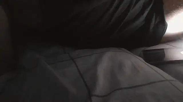 Snapshot of wikilikiliks chatting on 12/12/24, 12:38 wikilikiliks online show from 12/12/24, 12:38