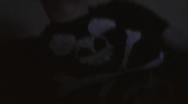 Snapshot of wikilikiliks chatting on 01/15/25, 09:41 wikilikiliks online show from 01/15/25, 09:41