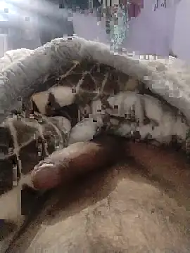 Noname333u online show from 12/18/25, 07:46