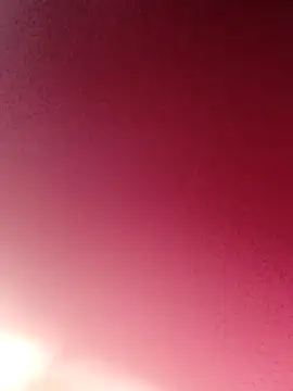 privadinhonm29 online show from 02/13/26, 01:27