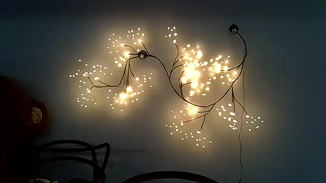 Lucky Anna online show from 12/14/25, 09:04