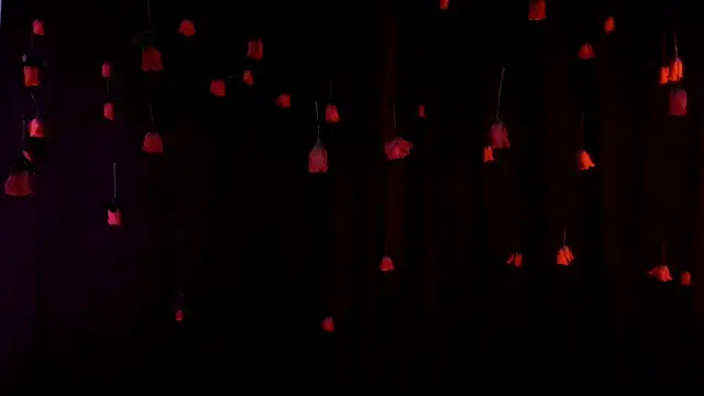 lnxmst online show from 02/14/26, 11:49