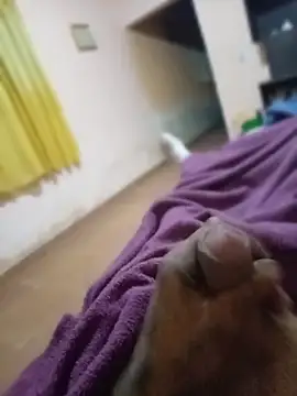 carloshot31 online show from 03/31/26, 08:49