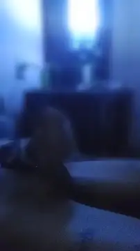 carloshot31 online show from 04/02/26, 10:33