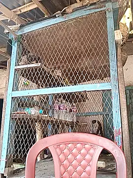 Skinny Bigass 23 online show from 02/03/26, 07:02