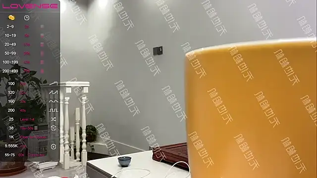 Snapshot of xinxin-521 chatting on 12/20/24, 07:17 xinxin-521 online show from 12/20/24, 07:17