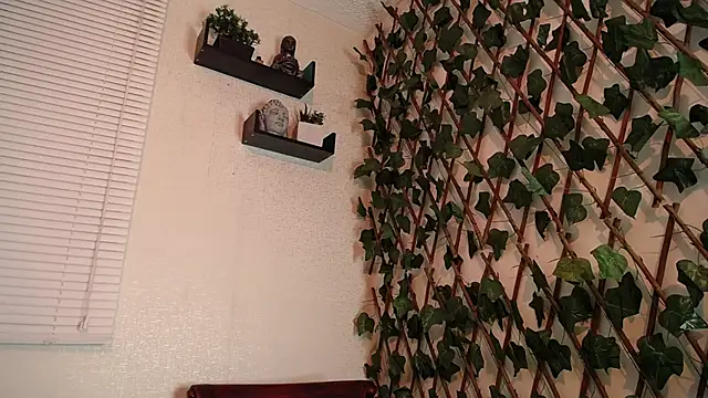 Jasson kingg online show from 12/29/24, 06:56