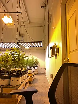 jr91esl online show from 03/02/25, 06:05