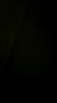 dvaughn3117 online show from 12/11/24, 04:28