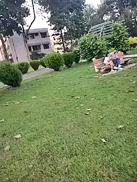 lofarinsan online show from 10/06/25, 12:17