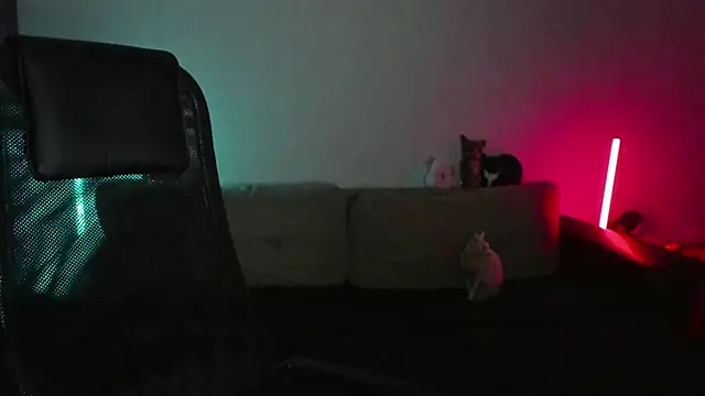 Ostin meow online show from 04/07/26, 02:30