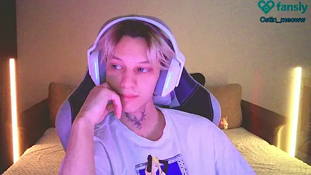 Snapshot of Ostin_meow chatting on 03/04/25, 01:17 Ostin meow online show from 03/04/25, 01:17