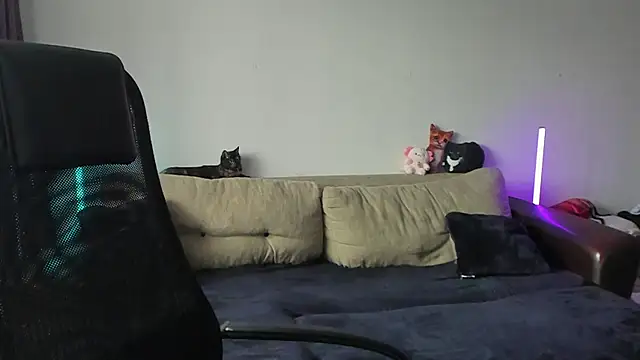 Ostin meow online show from 07/03/26, 01:06