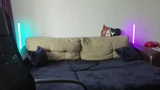 Ostin meow online show from 07/17/26, 10:12