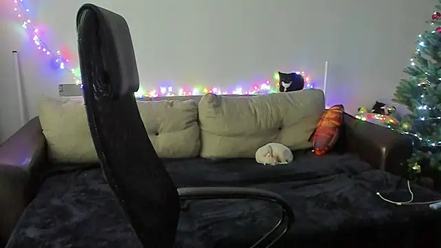 Ostin meow online show from 12/02/25, 08:38