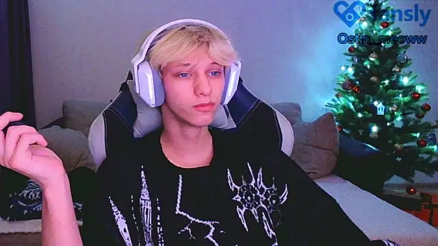 Snapshot of Ostin_meow chatting on 01/12/25, 03:46 Ostin meow online show from 01/12/25, 03:46