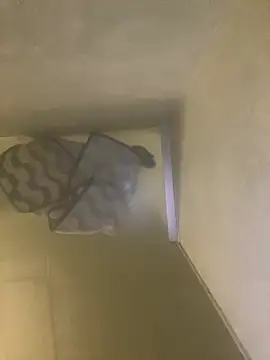 Snapshot of Tommy_y_Pamela chatting on 02/17/26, 03:26 Tommy y Pamela online show from 02/17/26, 03:26