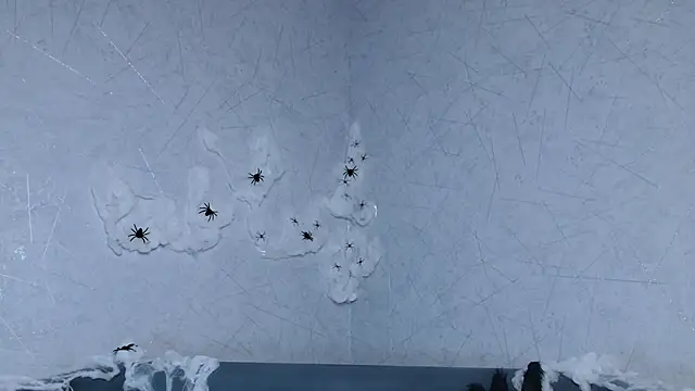 Snapshot of sofiaa_here chatting on 10/09/25, 12:33 sofiaa here online show from 10/09/25, 12:33