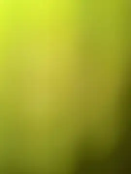 Snapshot of faaseel chatting on 03/11/25, 08:08 faaseel online show from 03/11/25, 08:08