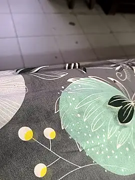 Snapshot of faaseel chatting on 09/19/25, 03:21 faaseel online show from 09/19/25, 03:21