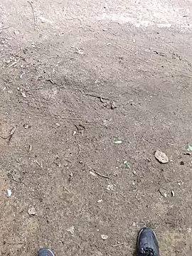 Snapshot of faaseel chatting on 10/08/25, 07:21 faaseel online show from 10/08/25, 07:21