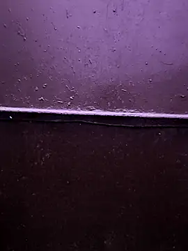 Snapshot of faaseel chatting on 02/27/25, 03:40 faaseel online show from 02/27/25, 03:40