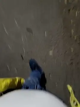 Snapshot of faaseel chatting on 11/03/25, 12:42 faaseel online show from 11/03/25, 12:42