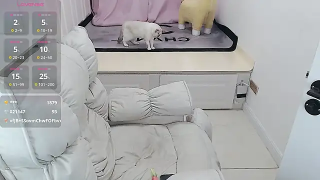 Snapshot of Tang-1314 chatting on 02/05/25, 05:30 Tang-1314 online show from 02/05/25, 05:30